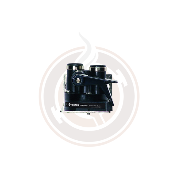 Everpure QL3B Water Filter Head 3/8