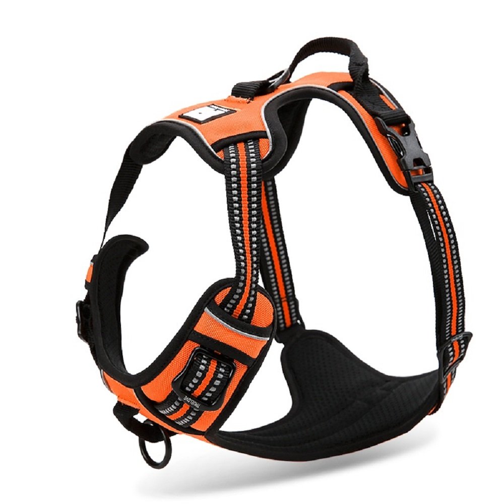 Chai's Choice - Premium Reflective Dog Harness for Outdoor Adventures - 3M Safety Vest with Dual Leash Clips, Matching Leash & Collar Set - Perfect for Hiking, Running & Night Walks