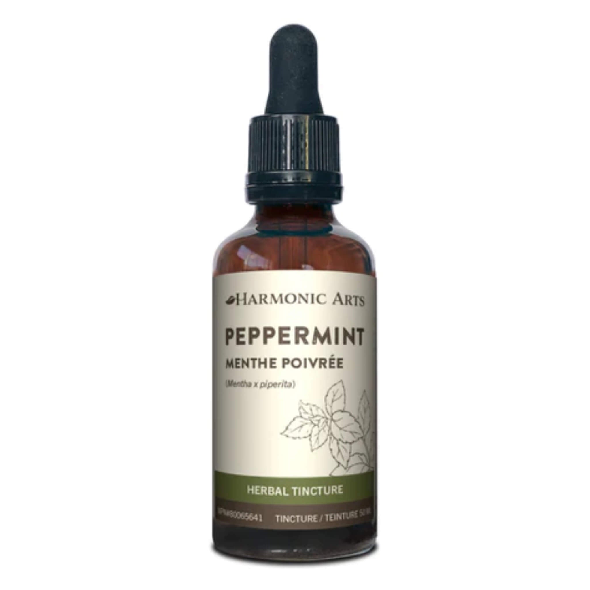 Organic Peppermint Leaves (Mentha Piperita) - 100% Natural Dried Herbs for Tea, Cooking & Aromatherapy - Perfect for Relaxation, Digestion & Fresh Breath