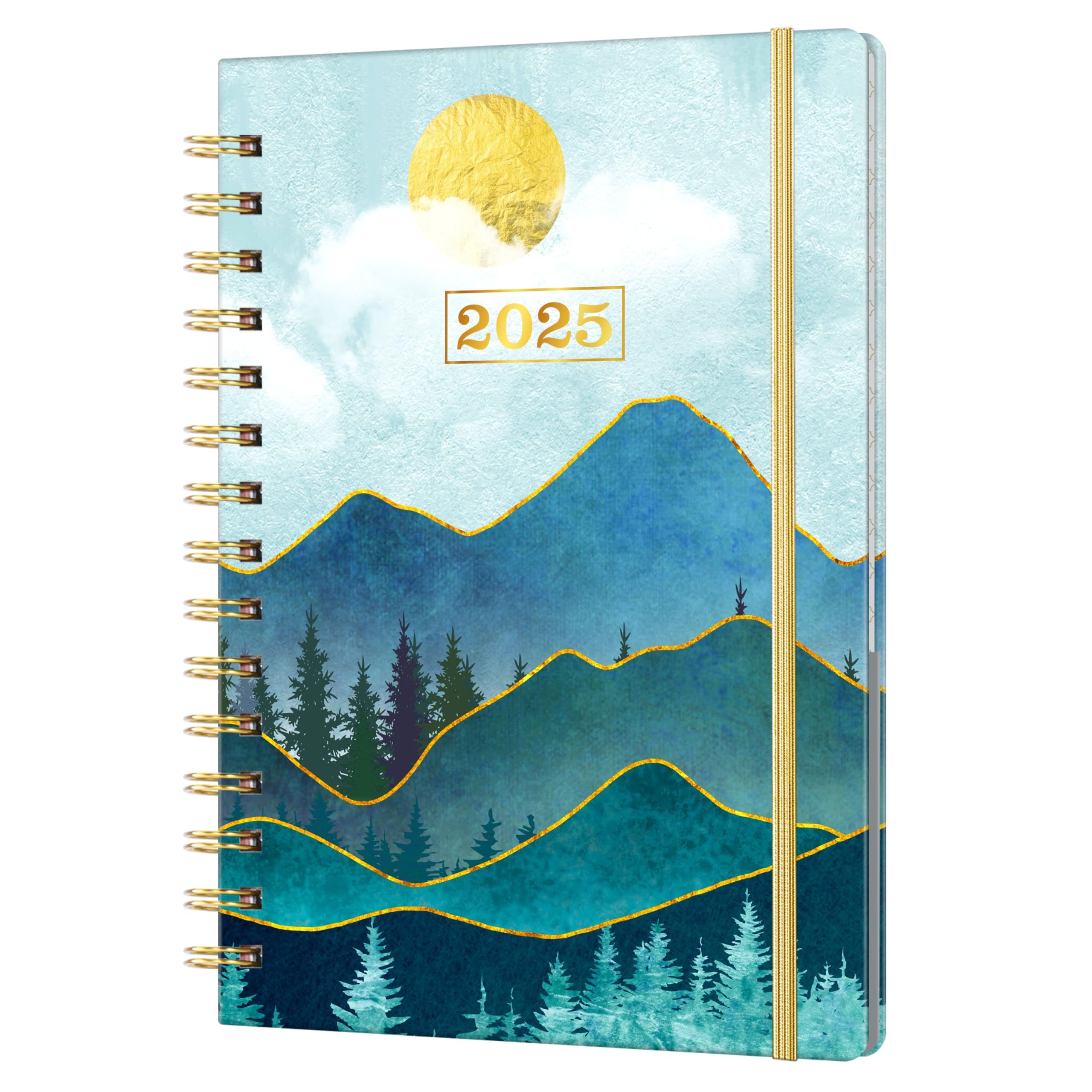 2025 Planner Weekly and Monthly - Jan 2025 to Dec 2025 Calendar Organizer with Flexible Cover, 6.3