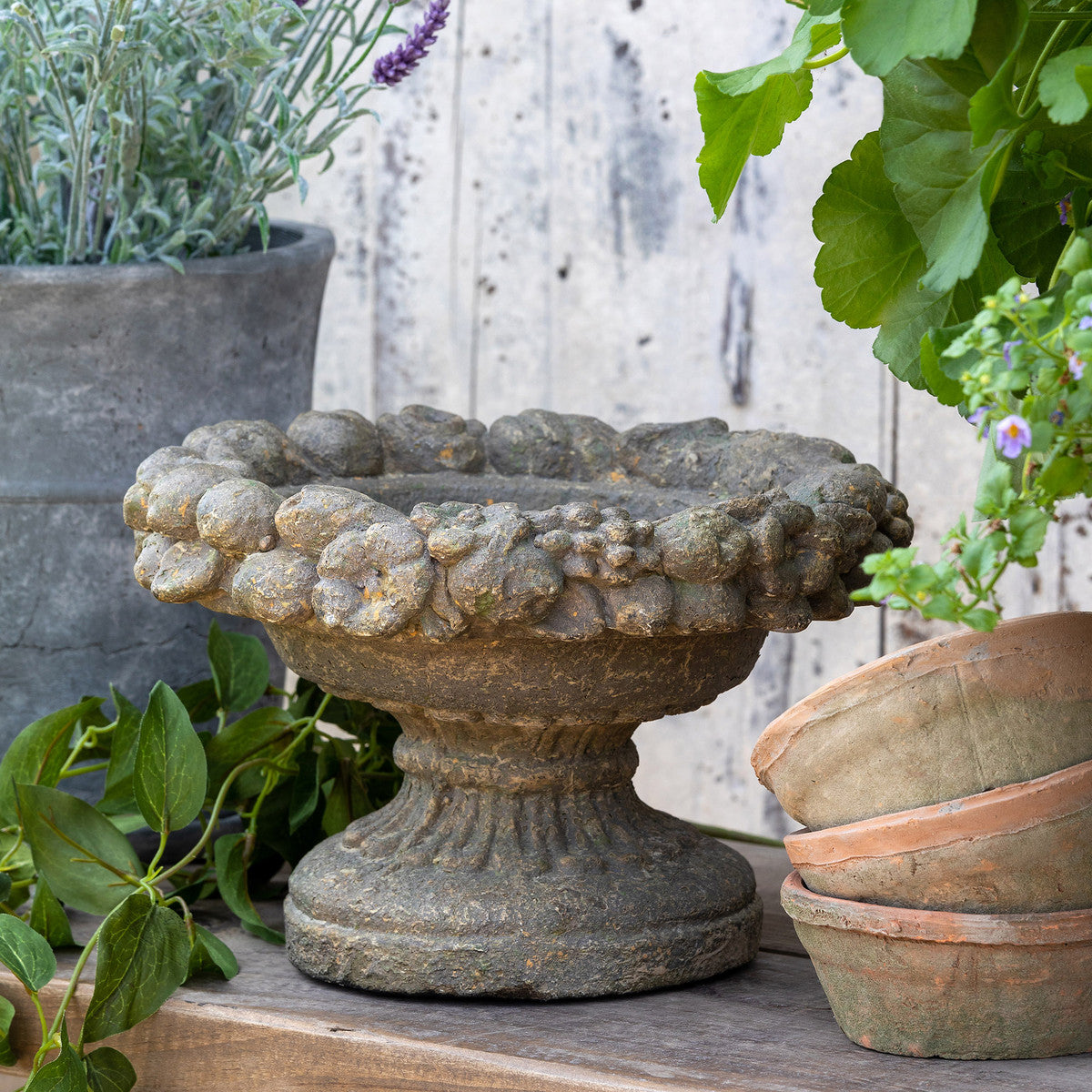Dellarobia Garden Bowl - Premium Ceramic Planter for Indoor & Outdoor Plants - Perfect for Succulents, Herbs, Flowers - Ideal for Home, Office, and Patio Decor