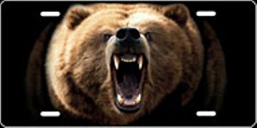 Professional Grizzly Airbrush Kit - Custom License Plate Design for Cars & Motorcycles | Perfect for DIY Art, Auto Detailing & Personalized Gifts