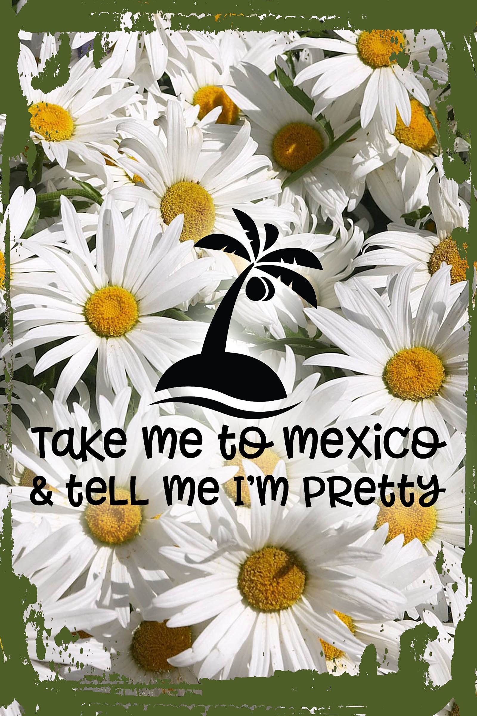 Funny Daisy Flower Wall Art - 'Take Me to Mexico' Vacation Decor - 8x12 Inches Hanging Wall Sign - Perfect for Beach House, Boho Room & Tropical Themed Gifts