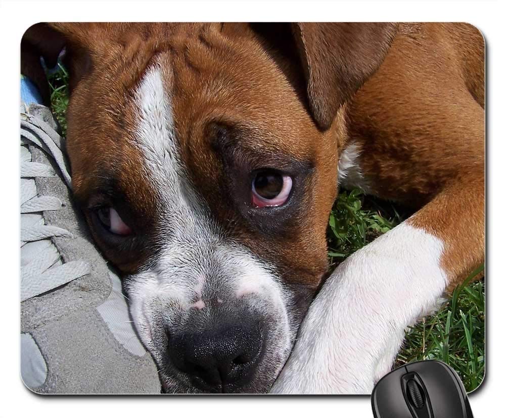 Premium Gaming Mouse Pad - Non-Slip Rubber Base, Large Extended Mouse Mat with Cute Dog & Nature Eye Design for PC, Laptop, Office & Home Use