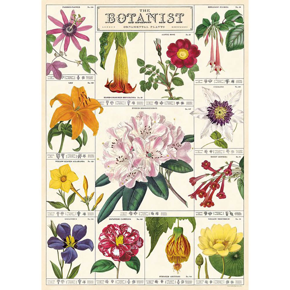 Wrap Botanist - Premium Plant Wrapping Paper for Gifts, Bouquets & Floral Arrangements | Perfect for Birthdays, Weddings & Home Decor