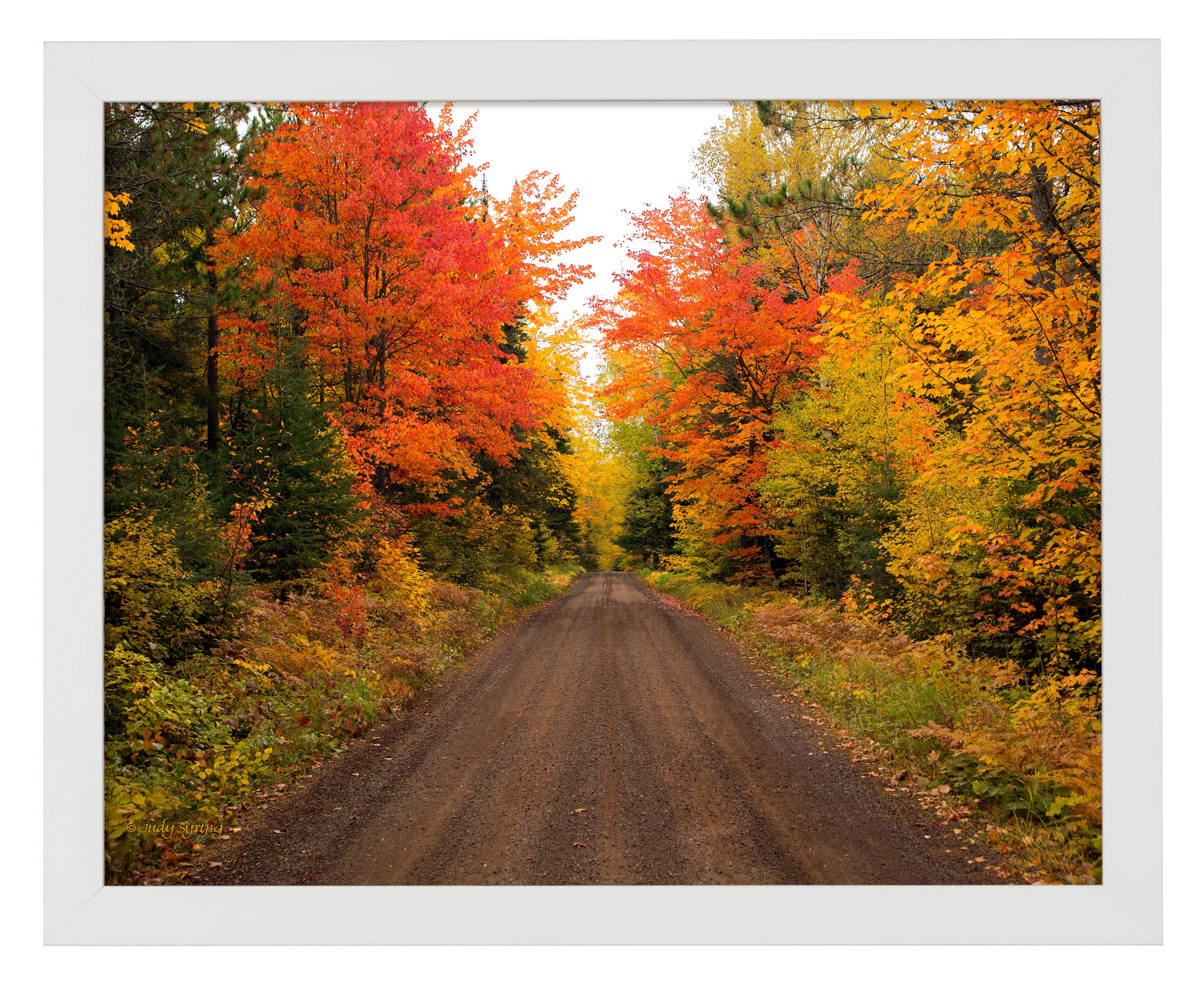 Autumn Bliss Art Prints - Fall Landscape Wall Decor for Home & Office | Perfect for Living Room, Bedroom & Gifts