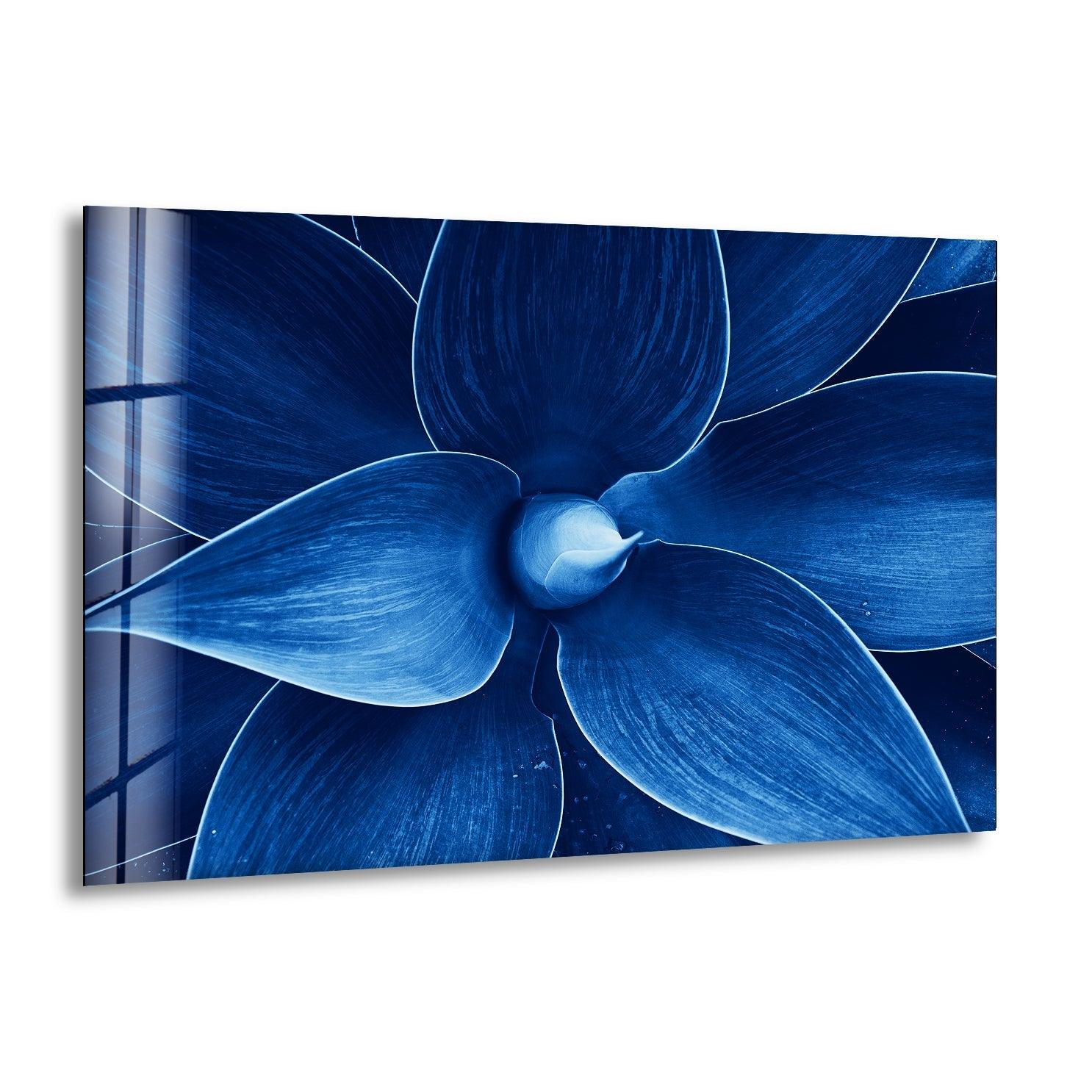 Blue Agave Closeup Glass Wall Art - Stunning Botanical Decor for Living Room, Bedroom & Office - Perfect Modern Home Decor Gift