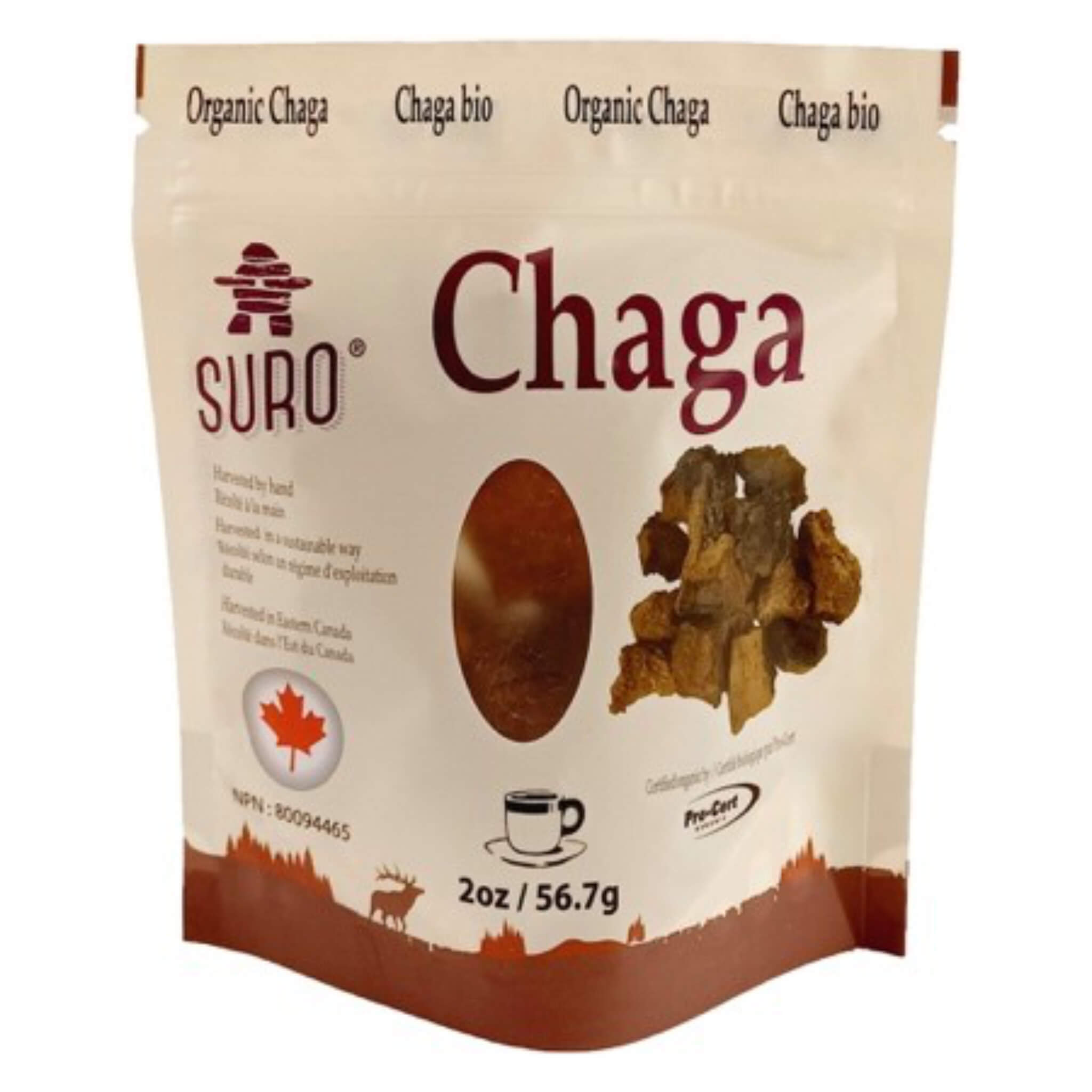 Premium Organic Chaga Mushroom Chunks - Wild Harvested from Northeast Canada | Immune Support, Tea & Tinctures for Wellness & Detox