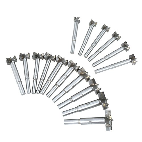 15-35mm 16PCS Forstner Drill Bit Set - High Speed Steel & Cemented Carbide Wood Hole Saws for Hand Drill, Bench Drill - Perfect for Solid Wood, Cork, Plywood, Particle Board - Woodworking & DIY Projects