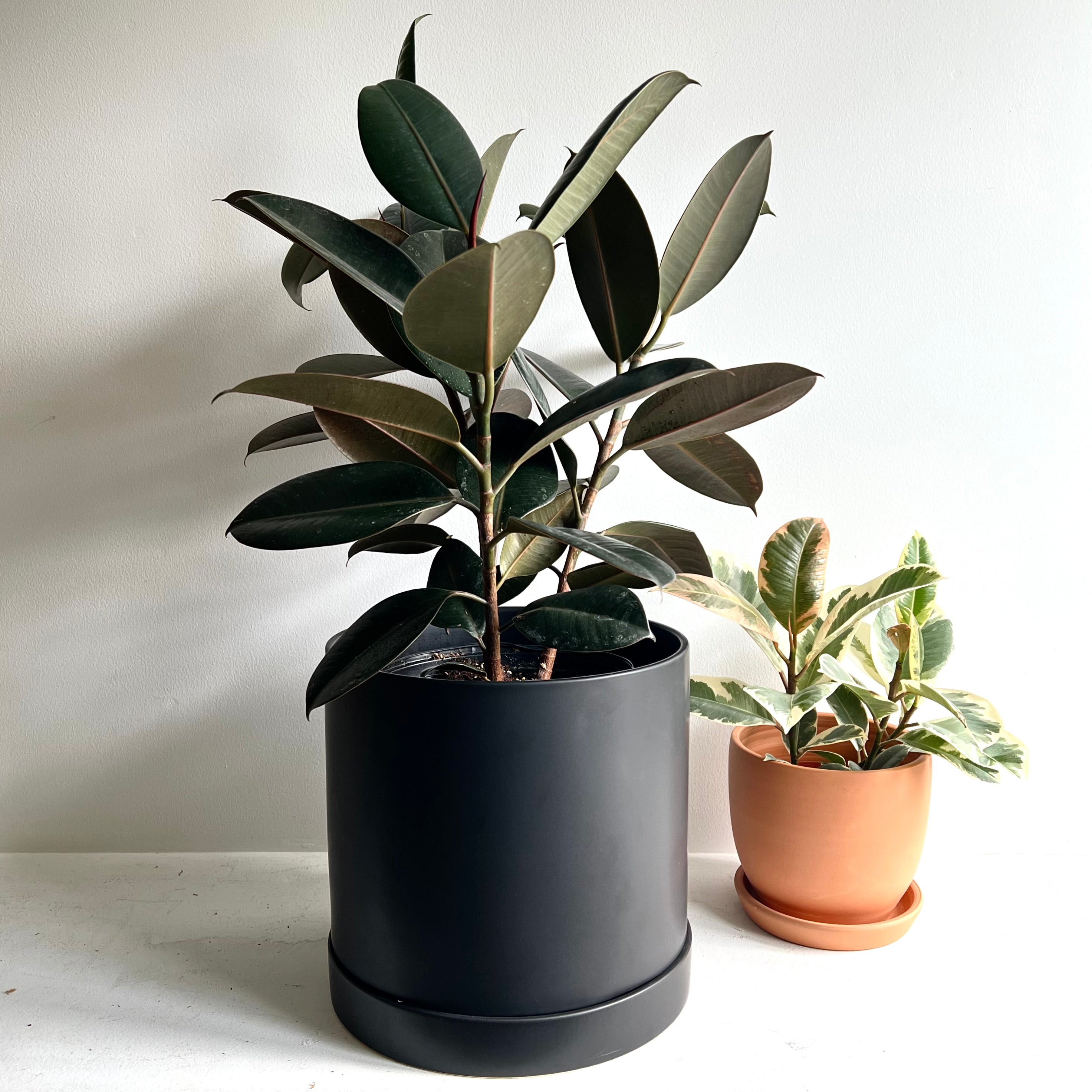 12-Cylinder Black Flower Planter - Perfect for Indoor Plants, Home Decor, and Office Greenery