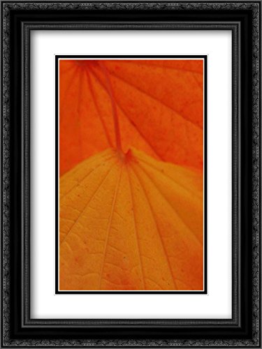 Vitaly Geyman 'Leaf Romance II' 15x18 Black Ornate Framed Art Print with Double Mat - Museum Quality Wall Decor for Living Room, Bedroom & Office
