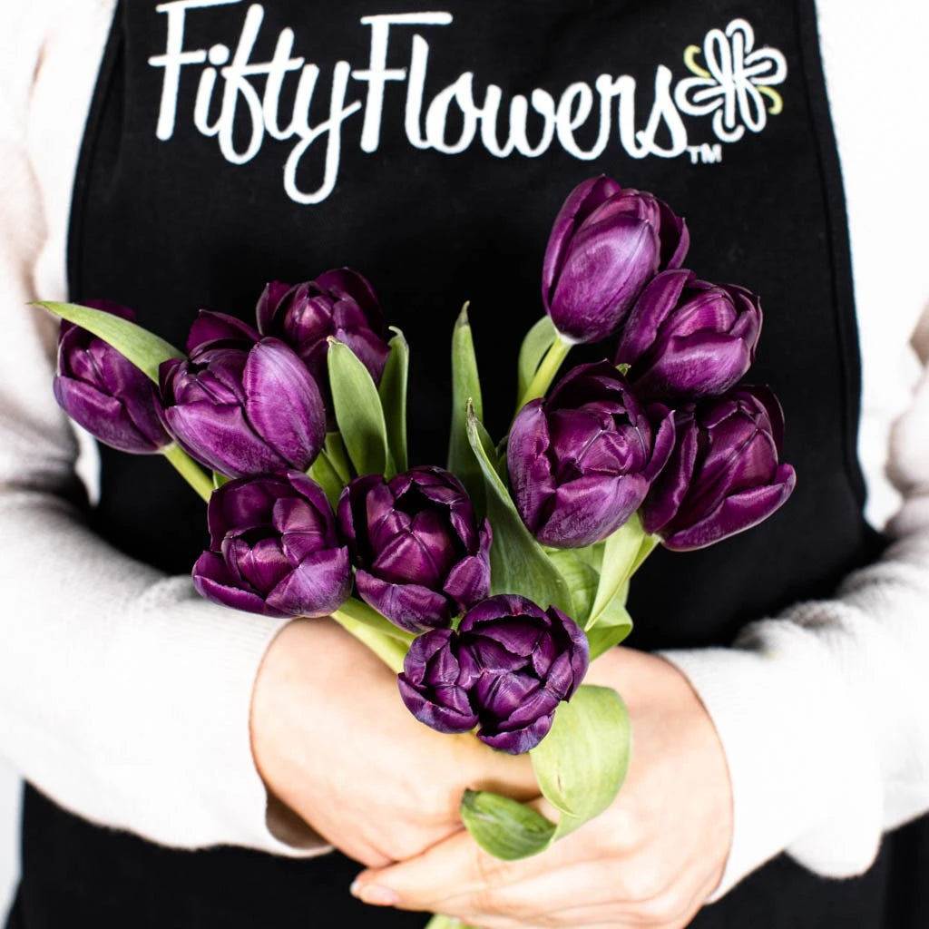 Black Jack Tulip Bulbs - Premium Dark Purple Tulip Flowers for Garden Planting | Perfect for Spring Gardens, Landscaping & Floral Arrangements