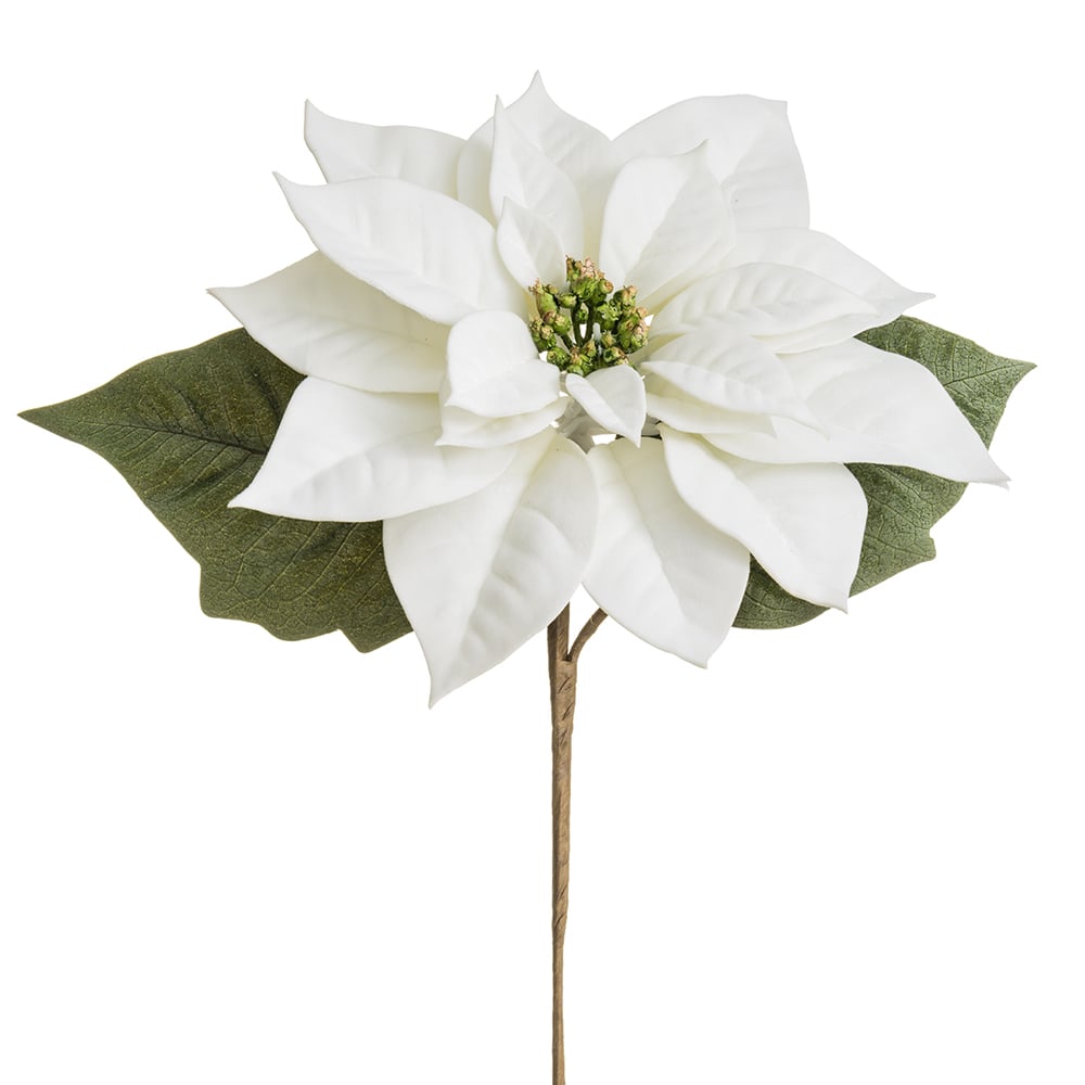13 White Velvet Artificial Poinsettia Flower Stems - Pack of 12 - Perfect for Christmas Decorations, Holiday Centerpieces, and Festive Home Styling