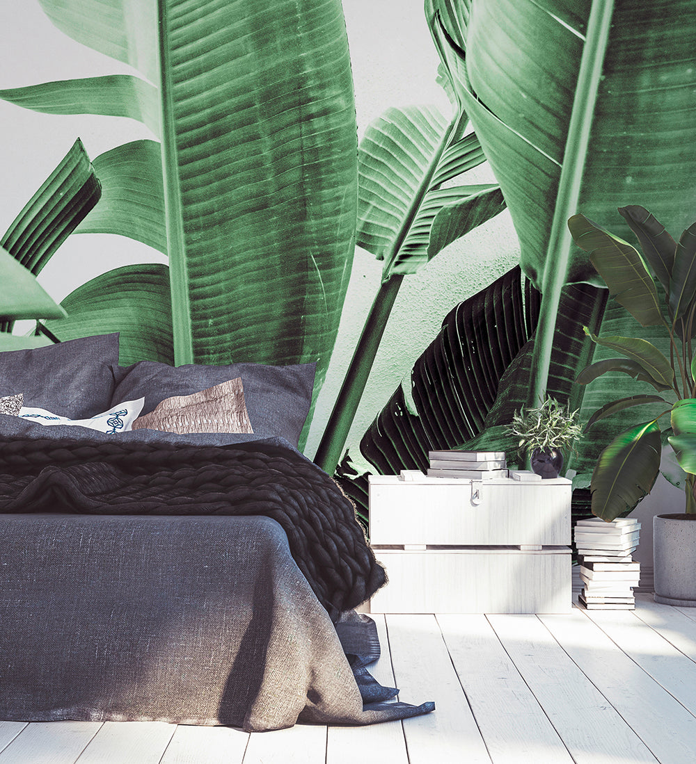 Designwalls 2 Palm Fronds Wall Art - Tropical Leaf Decor for Home & Office - Perfect for Living Room, Bedroom, or Beach House Decor