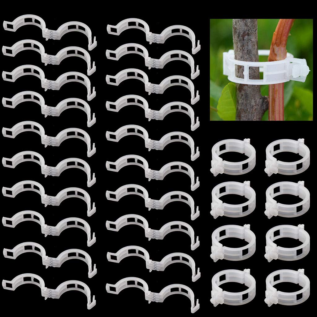 IronBuddy 50Pcs Garden Clips for Tomatoes & Climbing Plants - White (Pack of 50) - Perfect for Vine Trellis & Vegetable Support