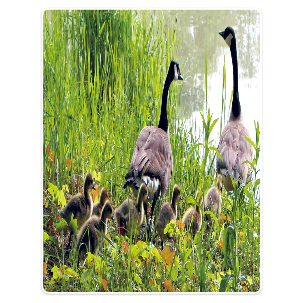 TSlook Super Soft & Warm Fleece Blanket - 40x50 Inch Cozy Throw for Sofa, Bed, Couch - Mother Swan with Children by The Lake Design - Perfect for Family Snuggling, Movie Nights & Winter Comfort
