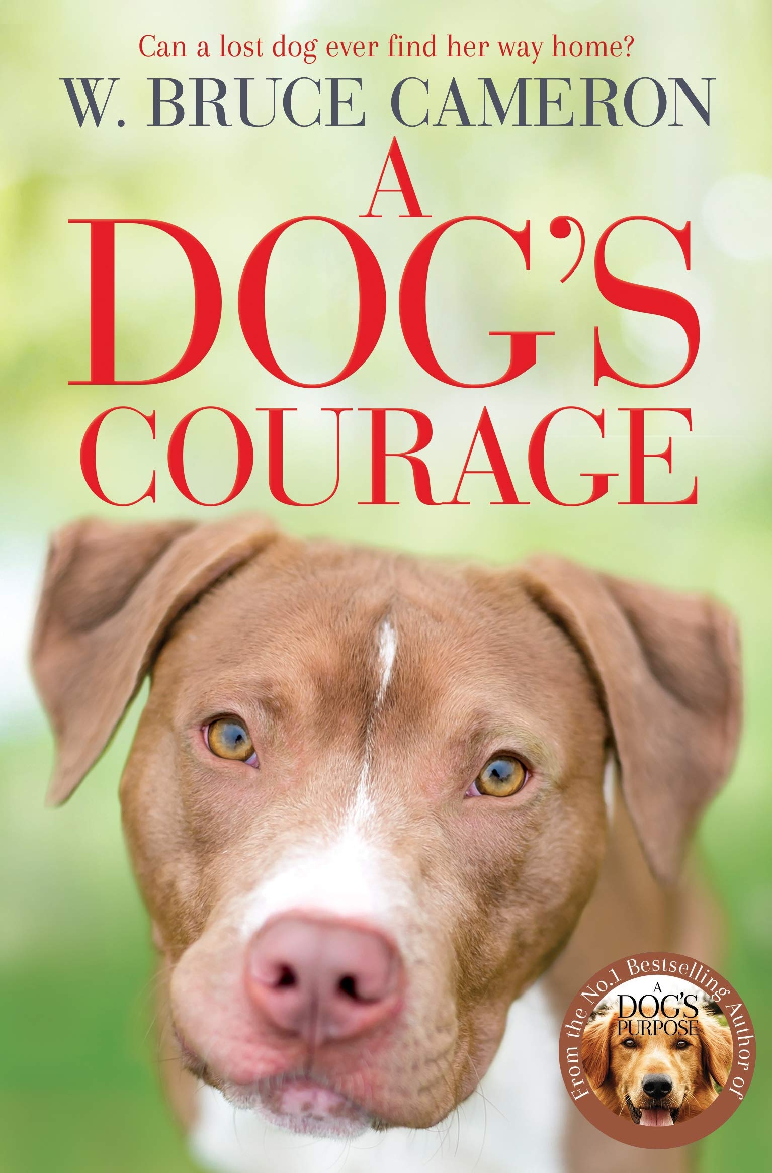 A Dog's Courage (A Dog's Way Home) - Inspiring Adventure Book for Dog Lovers - Perfect for Family Reading & Animal Rescue Story Enthusiasts