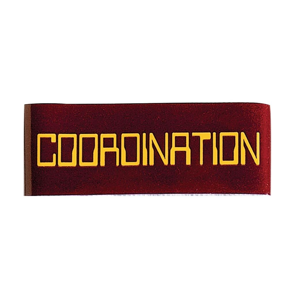High-Quality Achievement Belt Tape for Team Coordination - Perfect for Sports, Events, and Team Building Activities