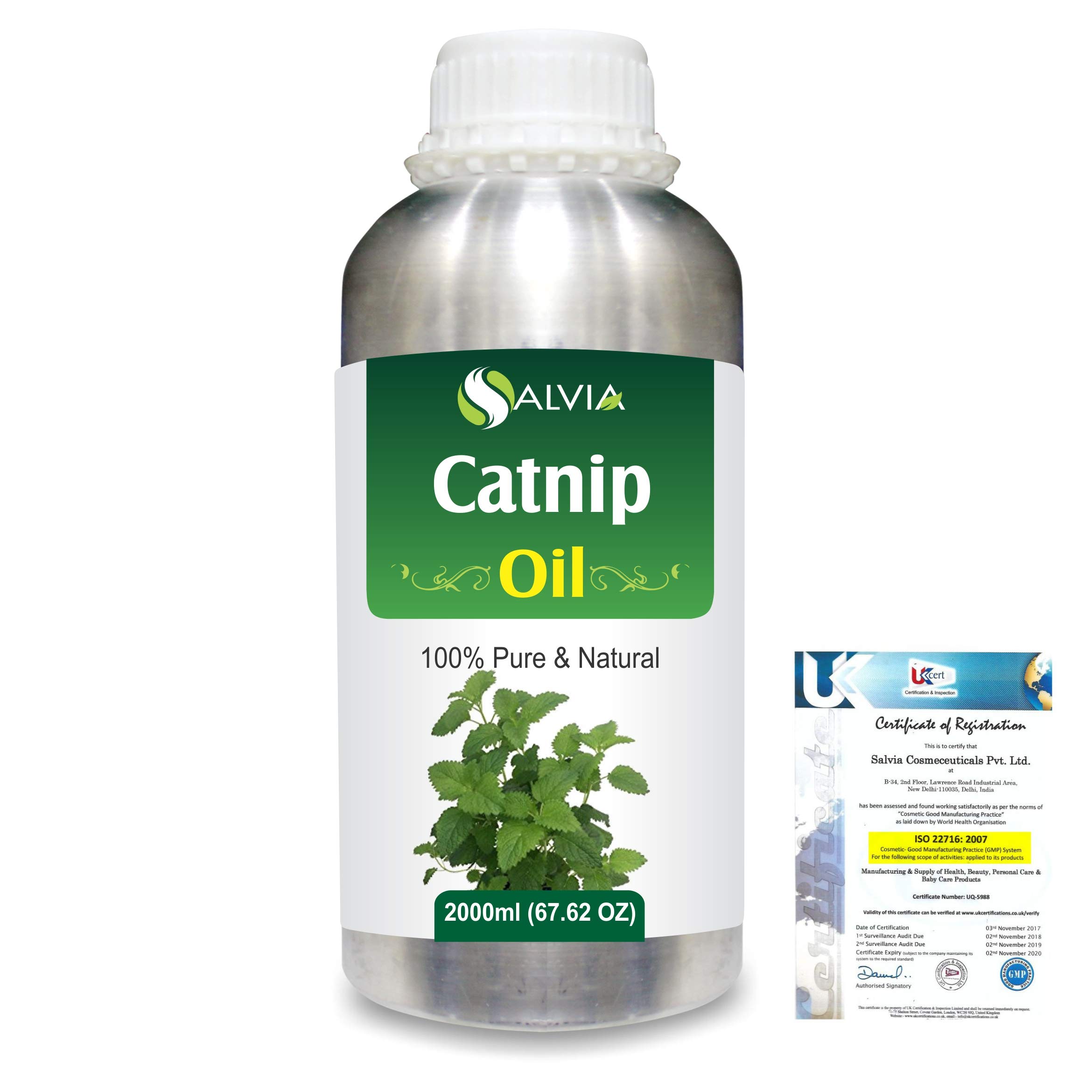 100% Pure & Natural Bulk Catnip Essential Oil (Nepeta cataria) - Undiluted, Uncut 2000ml for Aromatherapy | Stress Relief, Pet Enrichment & DIY Skincare
