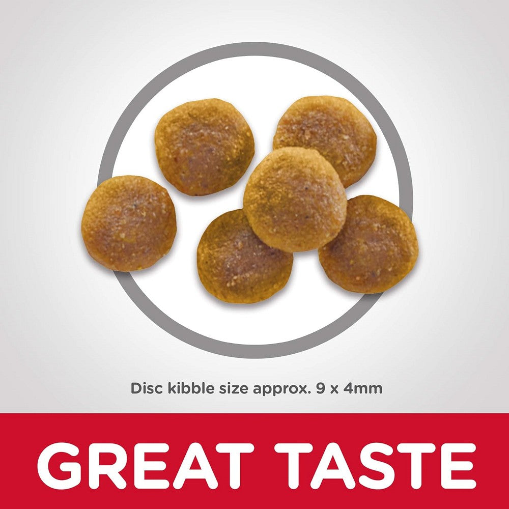 Science Diet Everyday Diet Chicken Recipe for Adult 1-6 Year Old Cats - High Protein Dry Cat Food for Indoor & Outdoor Cats - Perfect for Daily Meals & Healthy Weight Maintenance