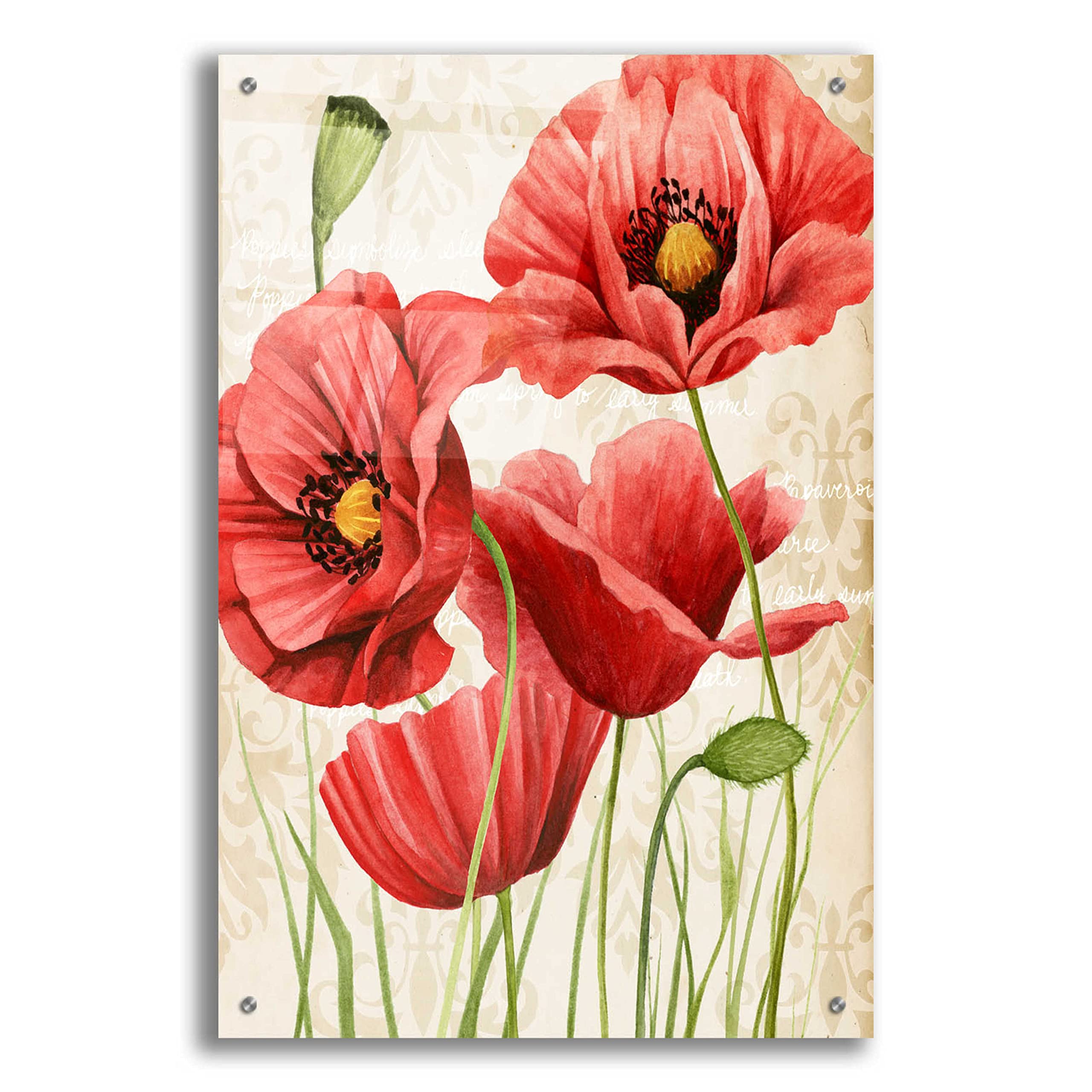Grace Popp's 'Poised Poppy I' Acrylic Glass Wall Art - 24x36 Inches Modern Floral Painting for Living Room & Office Decor