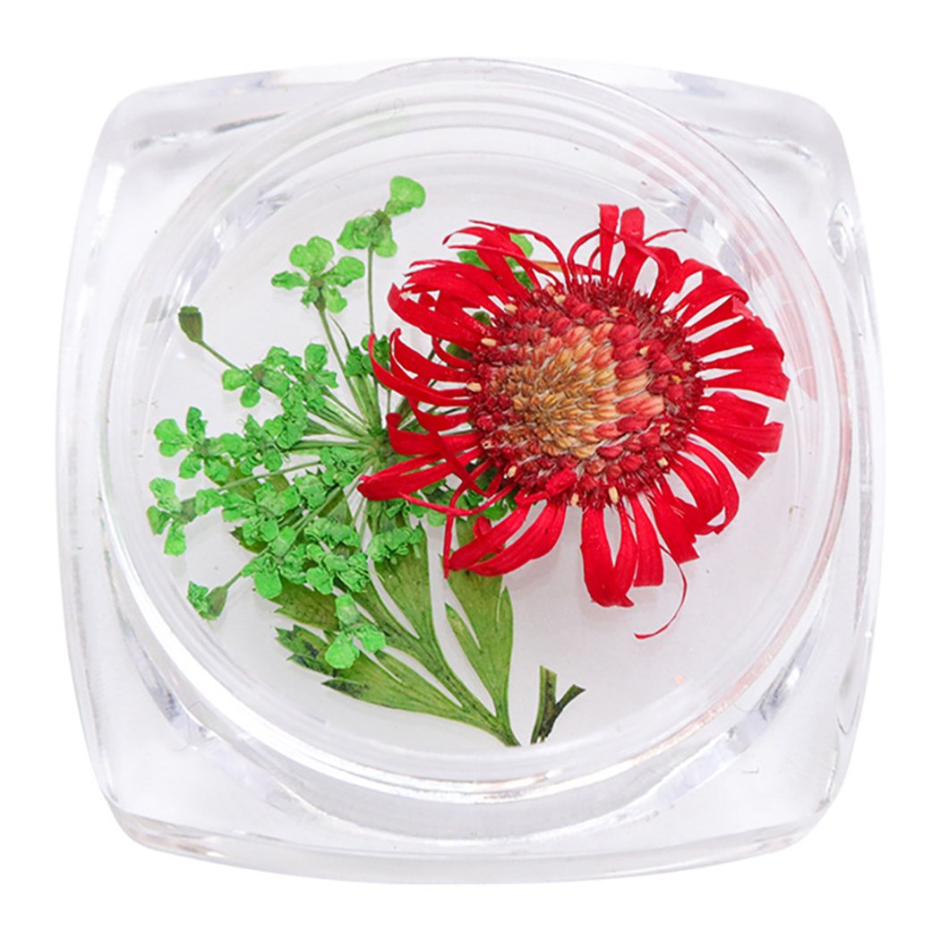 SOWUNO 3D Dried Flower Nail Art Decorations for Manicure - DIY Nail Design