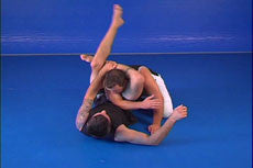 Cesar Gracie Gi-Less Instructional 6 DVD Set - Learn Brazilian Jiu-Jitsu Techniques at Home for Self-Defense & MMA Training
