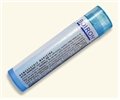 Symphytum Officinale 200CK Homeopathic Medicine - Natural Pain Relief for Joints & Bones | Supports Healing After Injuries & Surgeries | Perfect for Athletes & Active Lifestyles