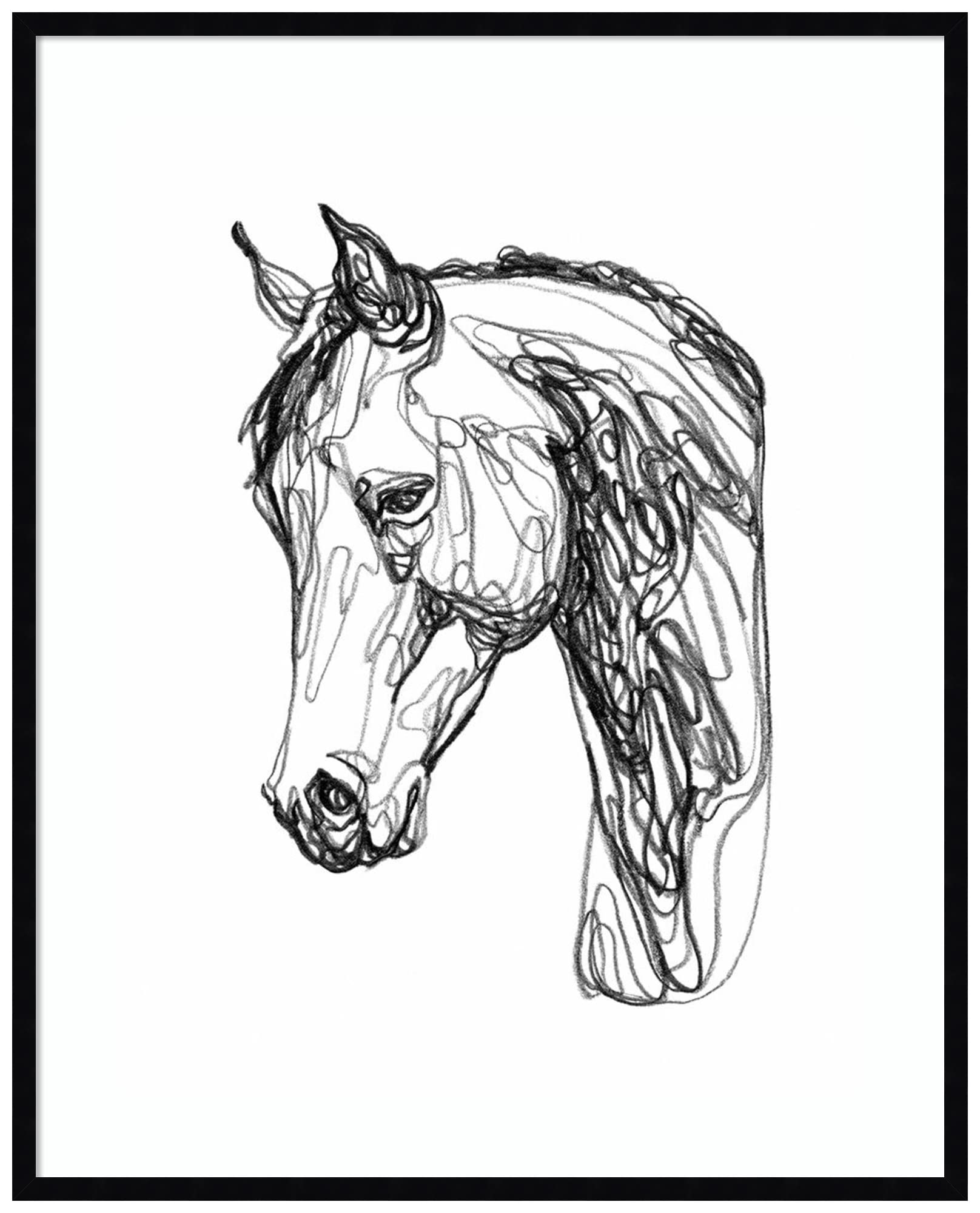 Emma Scarvey Equine Contour II Horse Wall Art Print - 33x41 Inch Wood Framed Canvas Painting with Svelte Noir Black Frame - Perfect for Living Room, Bedroom & Office Decor