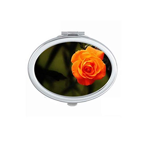 DIYthinker Orange & Dark Green Leaves Flower Pattern Portable Folding Double-Sided Makeup Mirror - Perfect for Travel, Home Vanity, and Handbag Essentials
