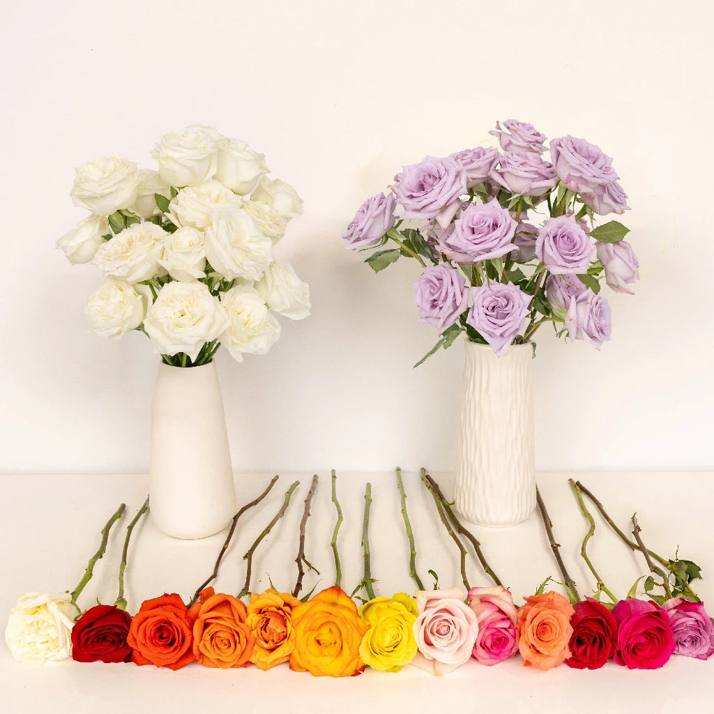50 Fresh Roses Bouquet - Perfect Mother's Day Gift for Mom, Anniversary, Valentine's Day | Long-Lasting Cut Flowers for Home Decor, Wedding Centerpieces & Romantic Surprises