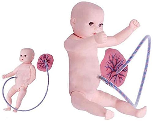 KEZaiZHe 11 Newborn Umbilical Cord Placenta Nursing Model - Lifelike Reborn Doll for Nursing Training, Medical Education & Baby Care Practice - Perfect for Diaper Changing, Clothing Display & Pediatric Simulation