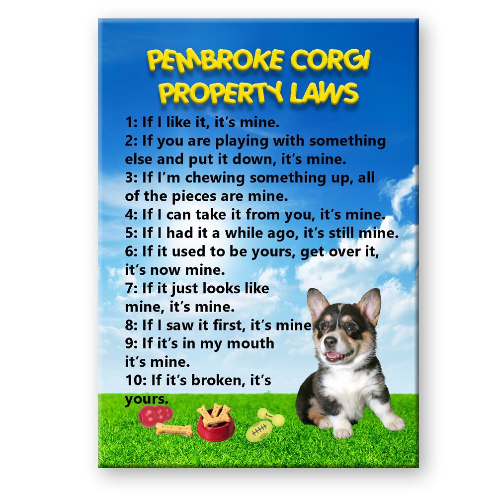 Funny Pembroke Corgi Fridge Magnet - Cute Dog Decor for Kitchen, Office & Home (Property Laws Theme) - Perfect Gift for Dog Lovers & Law Enthusiasts