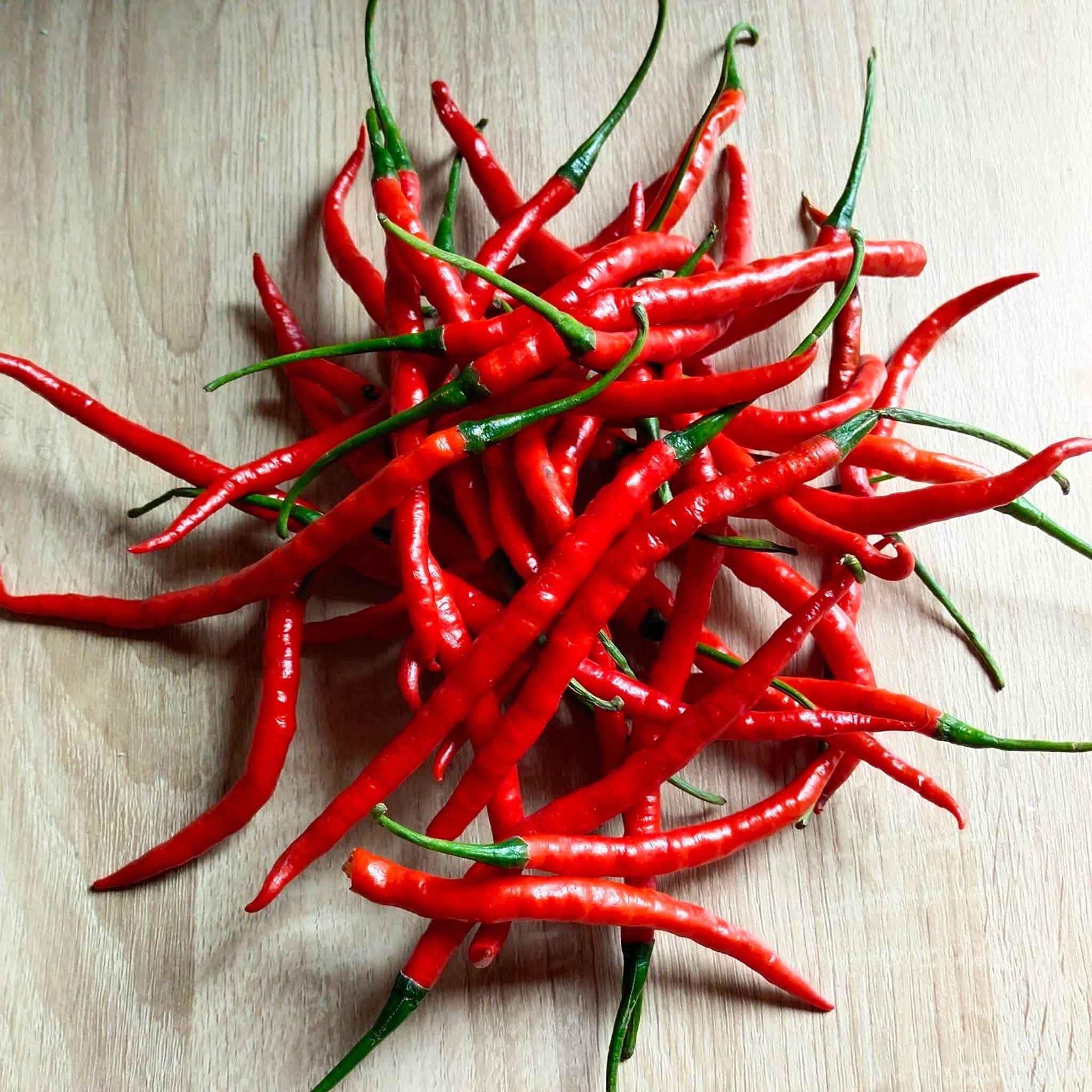 Eden Brothers Cayenne Long Red Thin Hot Pepper Seeds - Spicy Heirloom Variety for Cooking, Sauces, and Home Gardening