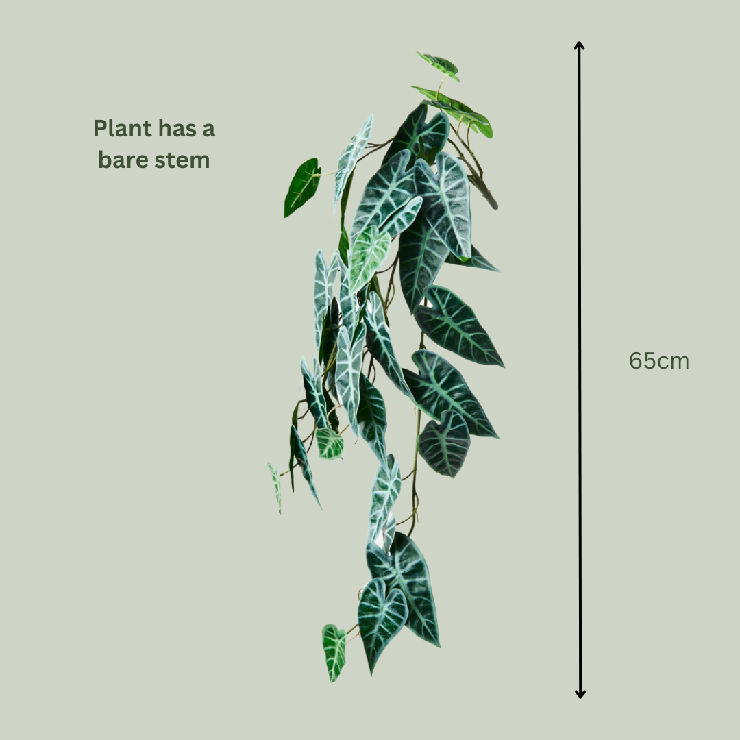 Artificial Alocasia Bambino Hanging Plant - Low Maintenance Fake Elephant Ear Plant for Home & Office Decor - Perfect for Living Room, Bedroom, Balcony, and Indoor Spaces