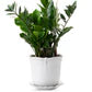 Juliska Berry & Thread 7-Inch Ceramic Planter - Elegant Home & Garden Decor for Indoor Plants, Succulents, and Floral Arrangements