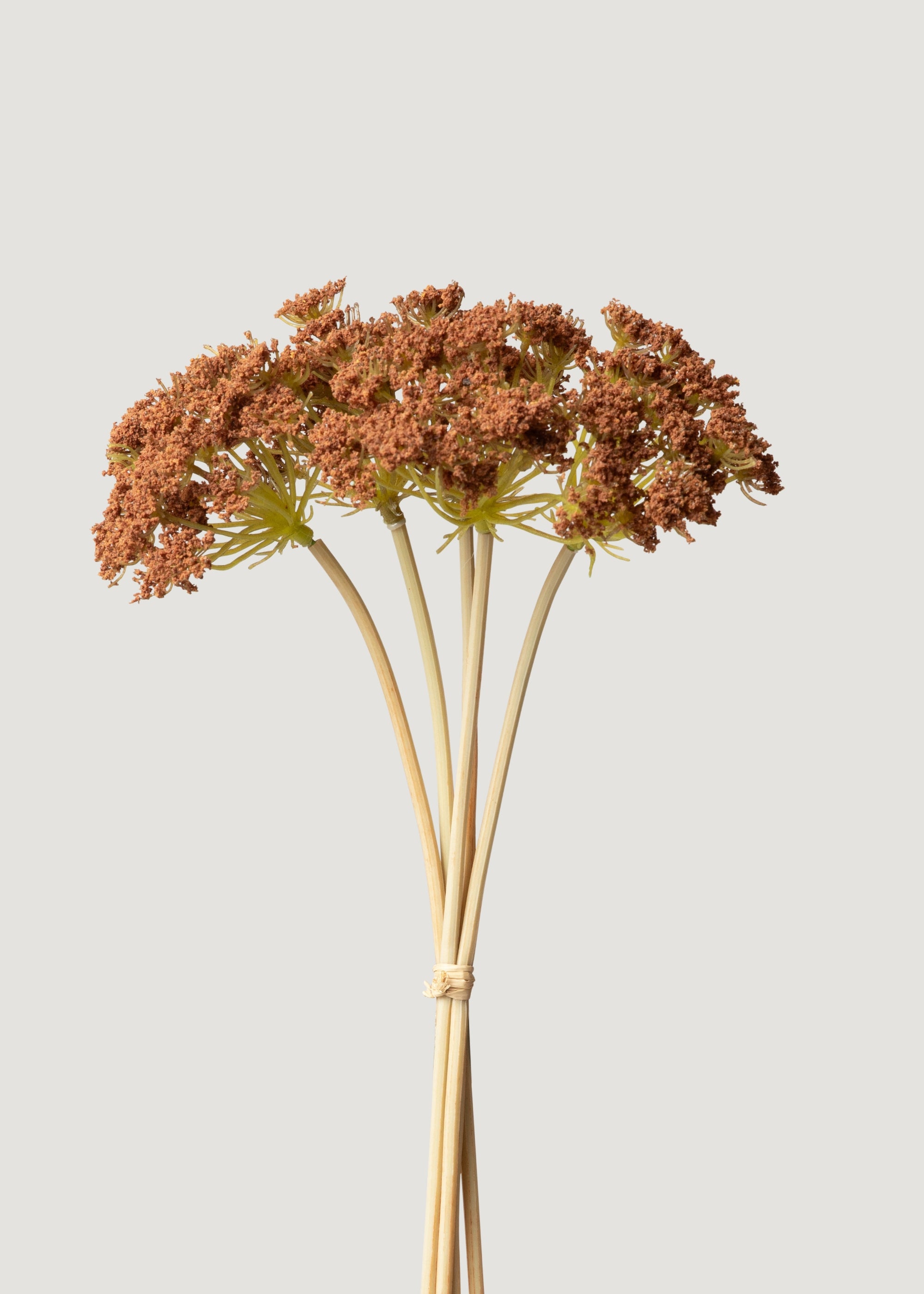 Premium Bronze Brown Fake Yarrow Bundle - Set of 5 Artificial Flowers (18.75 Inches) for Home Decor, Wedding Centerpieces & Floral Arrangements