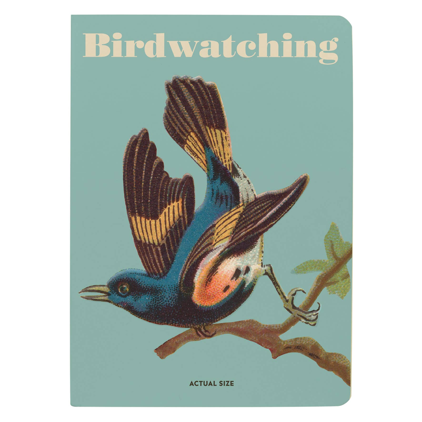 Bird Watching Journal - Premium Birdwatching Notebook for Nature Enthusiasts | Perfect for Bird Identification, Field Notes & Outdoor Adventures