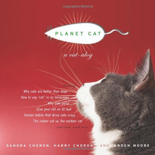 Planet Cat: Cat Toys & Supplies for Playful Pets