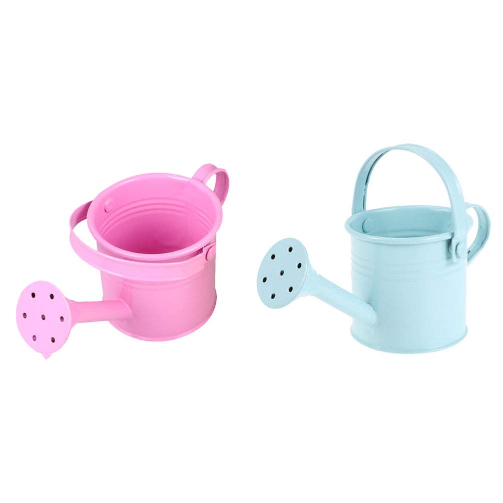 Hemoton 2-Pack Metal Watering Can with Long Spout - 1L Iron Plant Watering Pot, Garden Watering Bucket & Flower Irrigation Can for Indoor/Outdoor Plants, Perfect for Balcony, Patio, and Greenhouse Use