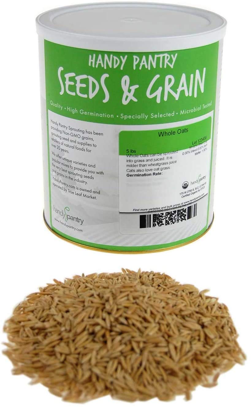 Organic Whole Oat Groats 3.5 Lb - Non-GMO, Gluten Free, with Husk - Perfect for Sprouting, Steel Cut Oats, Oat Berries, Oat Flour, Oat Rice & Livestock Feed - Ideal for Healthy Breakfast, Baking & Animal Nutrition