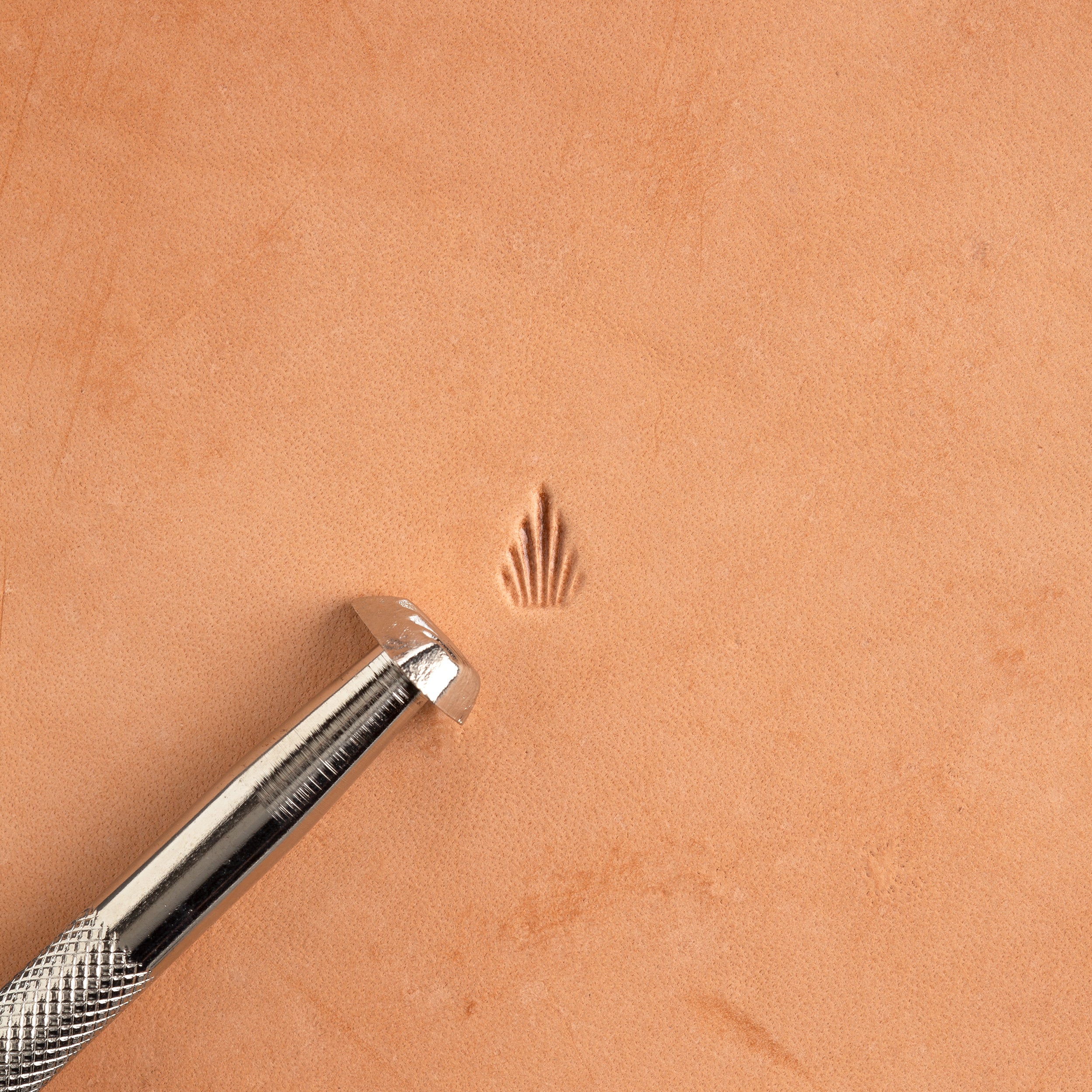 Craftool® Foliage Figure Beveler Stamp - Leather Crafting Tool for DIY Projects, Scrapbooking & Card Making
