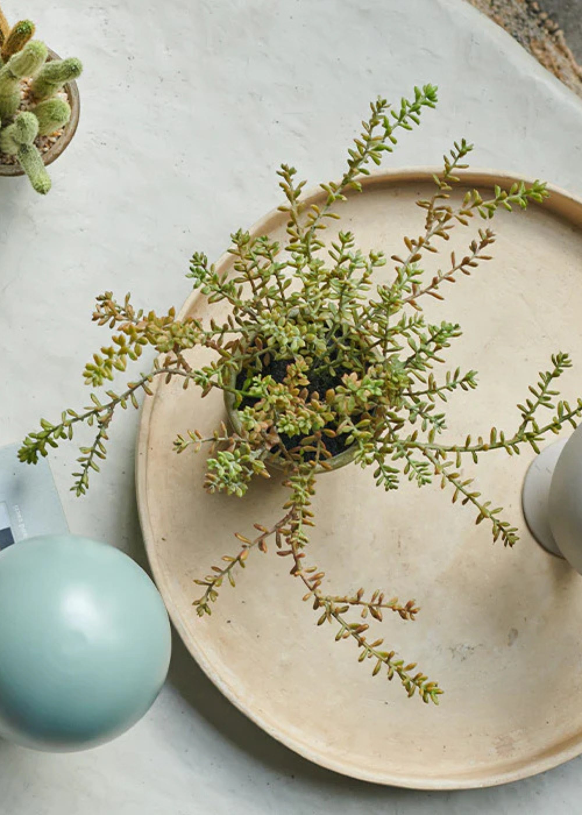 Abigail Ahern Small Artificial Sedum Succulent Plant in Pot - 11