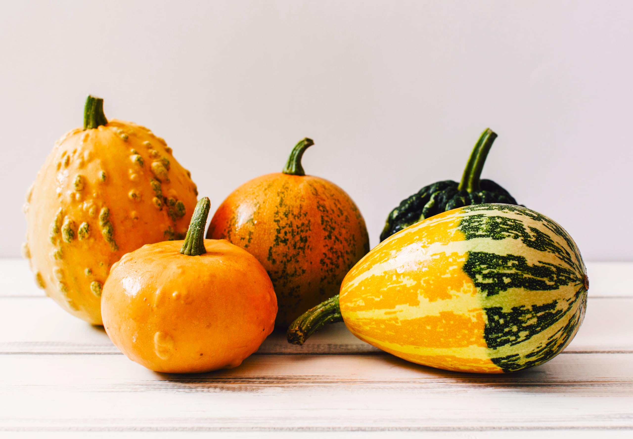 Decorative Pumpkin Seed Mix - Non-GMO Ornamental Squash & Gourd Seeds (10 Pack) for Planting, Fall Home Decor, Thanksgiving Centerpieces & Garden Landscaping