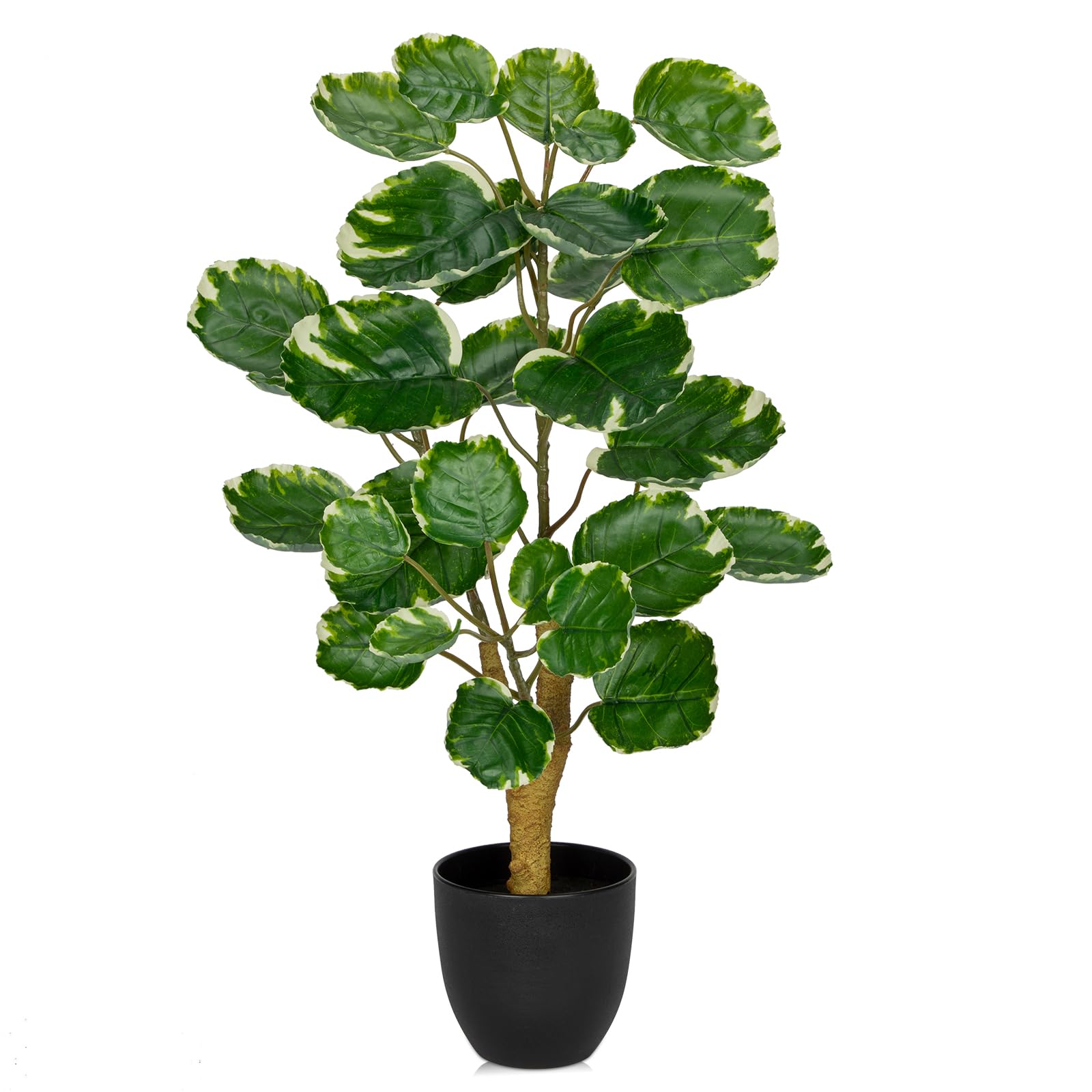 2ft Artificial Aralia Balfour Tree in Black Pot - Fake Polyscias Fabian Plant for Home & Office Decor - Realistic Faux Potted Plant for Living Room, Bedroom, and Workspace