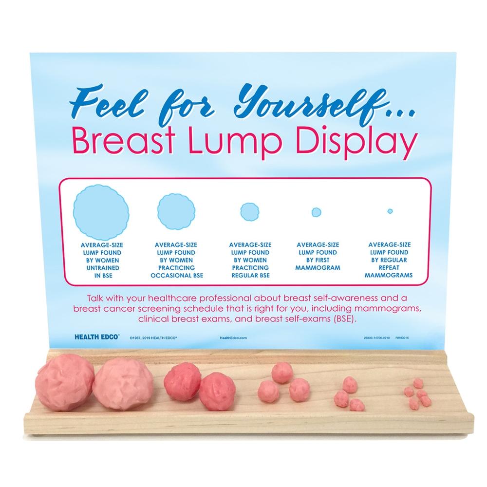 Breast Lump Self-Exam Model - Realistic Medical Training Aid for Breast Cancer Awareness & Education | Perfect for Nursing Students, Doctors & Health Educators