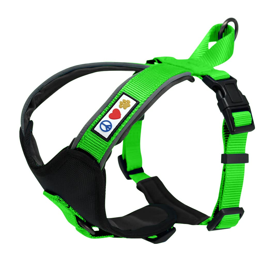 Pawtitas Reflective Padded Dog Harness - Comfortable & Adjustable Pet Vest for Walking, Running & Night Safety (Small, Green) - Perfect for Outdoor Adventures & Daily Walks