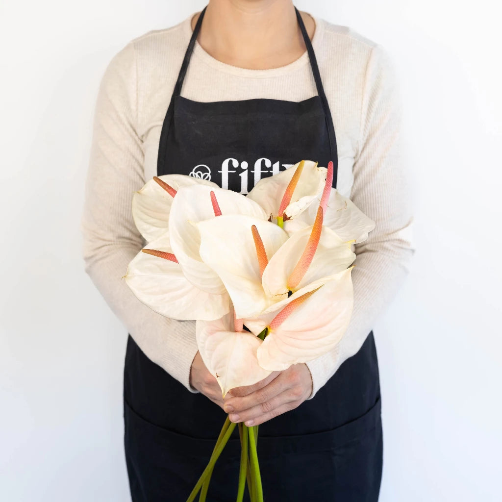 Anthurium Seashell White Tropical Flower - Exotic Live Houseplant for Home & Office Decor - Perfect for Indoor Gardens, Wedding Centerpieces, and Gift Ideas