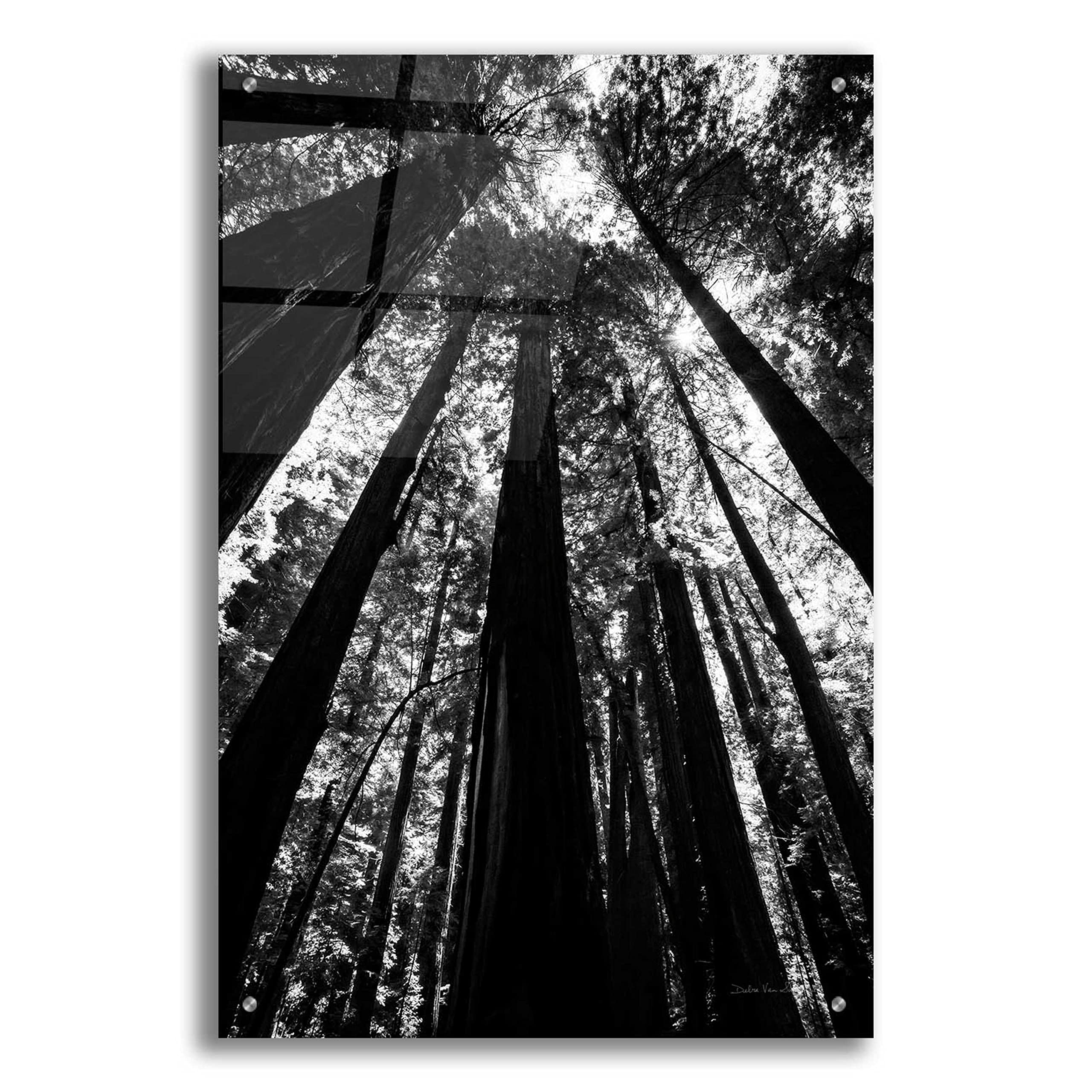 Debra Van Swearingen 'The Stand BW' Acrylic Glass Wall Art - 24x36 Inches Modern Black & White Painting for Living Room, Bedroom & Office Decor