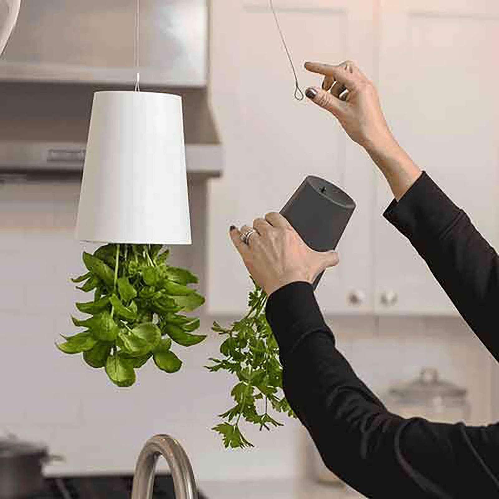 Indoor Sky Upside Down Hanging Planter - Black Decorative Plant Holder for Bedroom, Living Room & Office | Perfect for Herbs, Flowers & Small Plants | Space-Saving Vertical Garden Solution